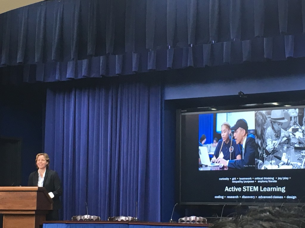 United States Chief Officer of Technology Megan Smith