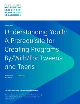 Understanding youth