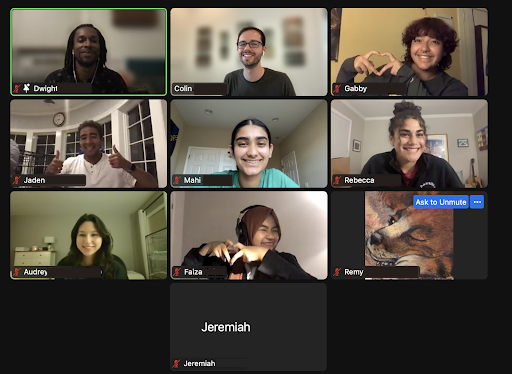 NGPM youth fellows in zoom meeting